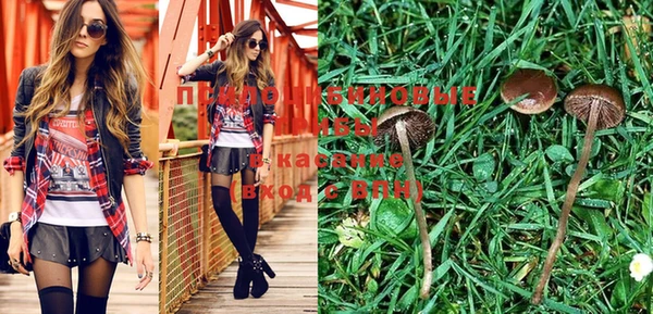 круглые Карпинск