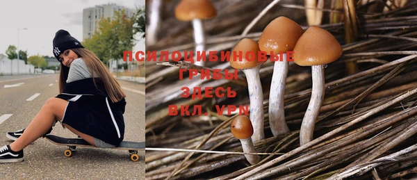 хмурый Карталы